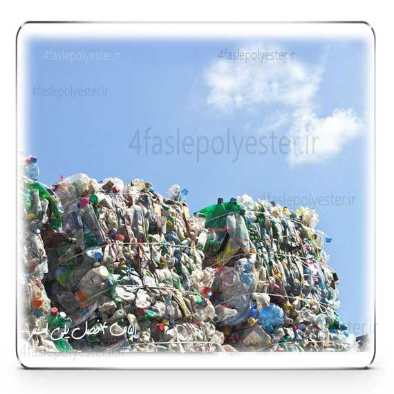 پت زنده چهارفصل